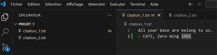 VS Code Git add files