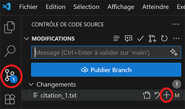 VS Code Git add files