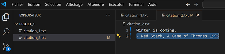 VS Code Git add files
