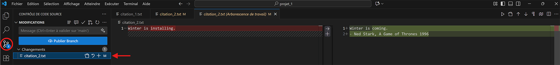 VS Code Git add files