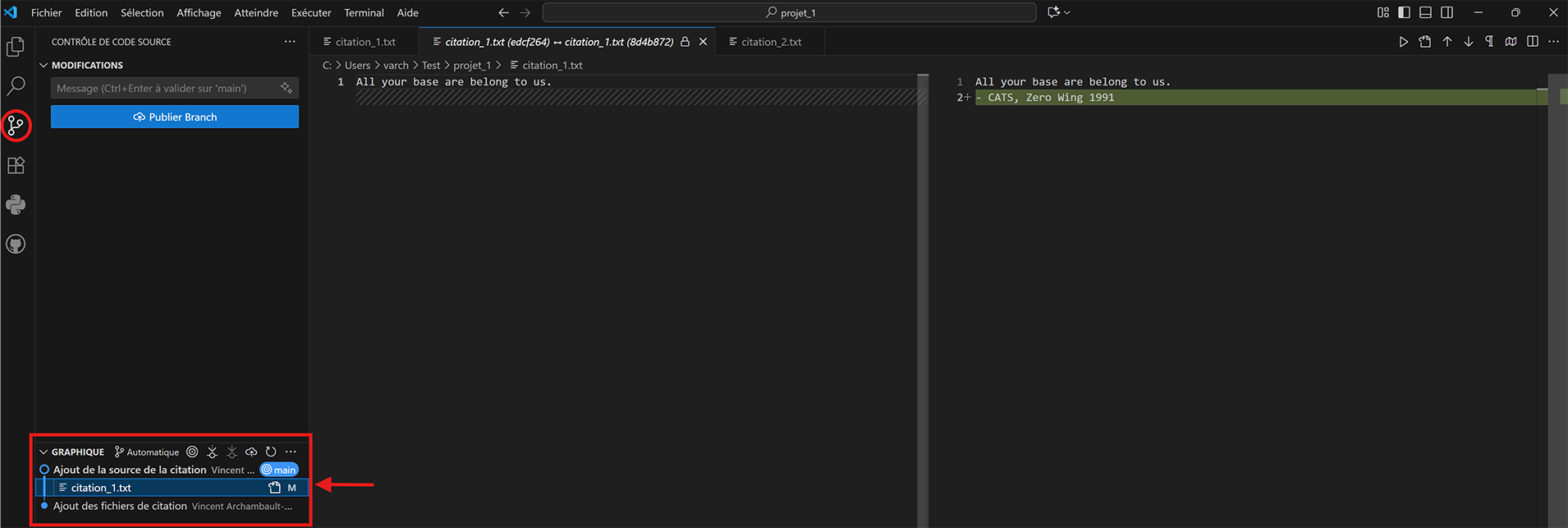 VS Code Git add files