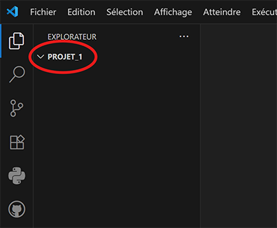VS Code Explorer